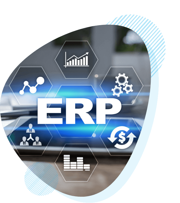 ERP  Consulting Company