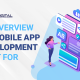 overview_of_mobile_app_development_cost