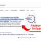 Zero click searches in 2025